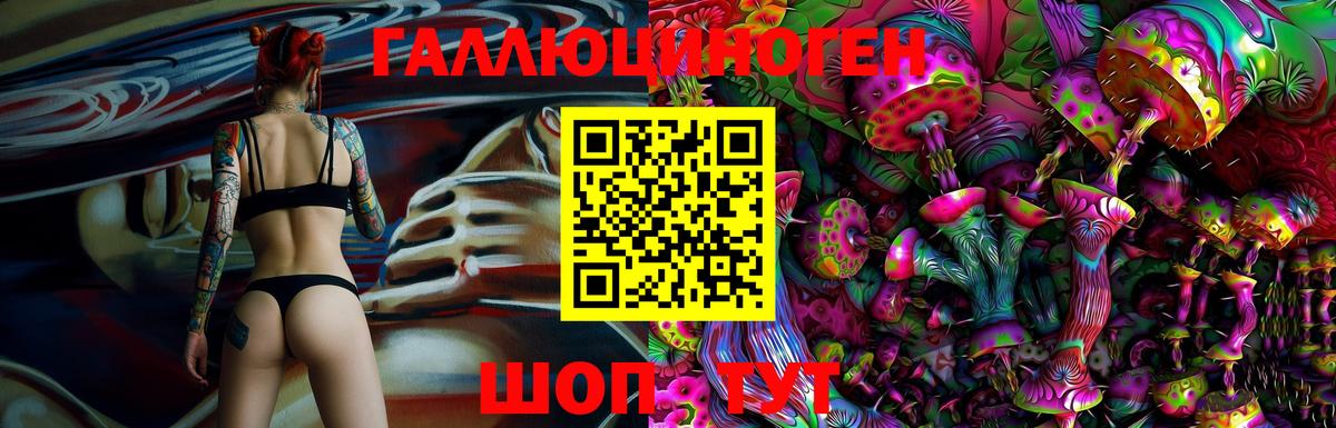 Ковров  Галлюциногенные грибы Psilocybine cubensis  Вход с VPN 